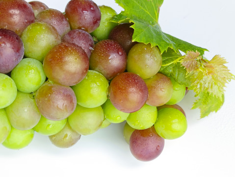 鲜果葡萄