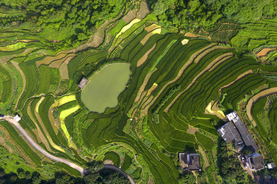 生态永春