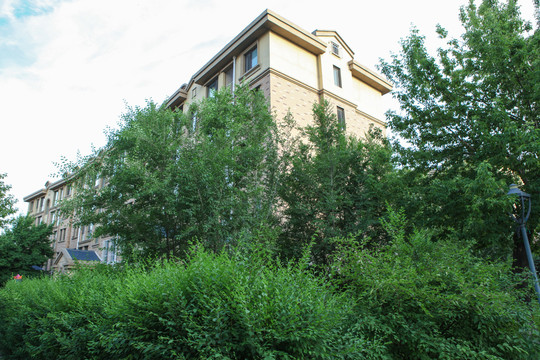 小区园林