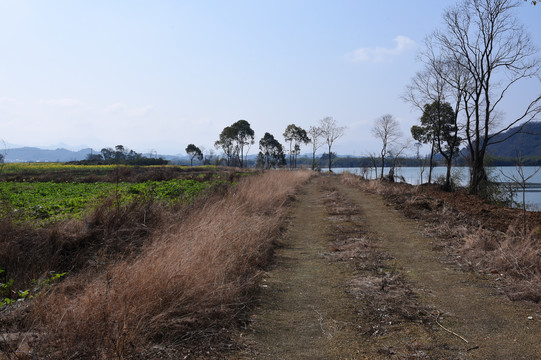 田园风光