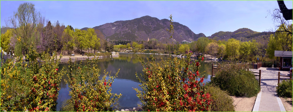 植物园桃花湖