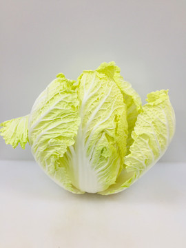 白菜