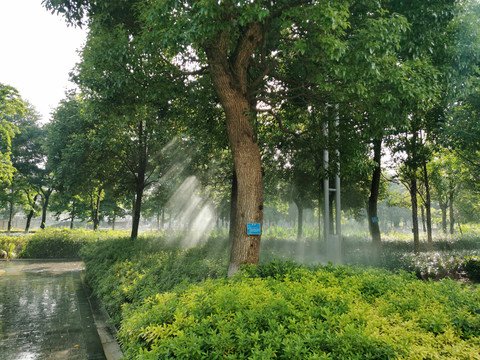 绿化自动喷灌