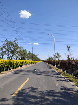 乡村道路