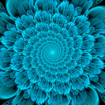 蓝色分形花