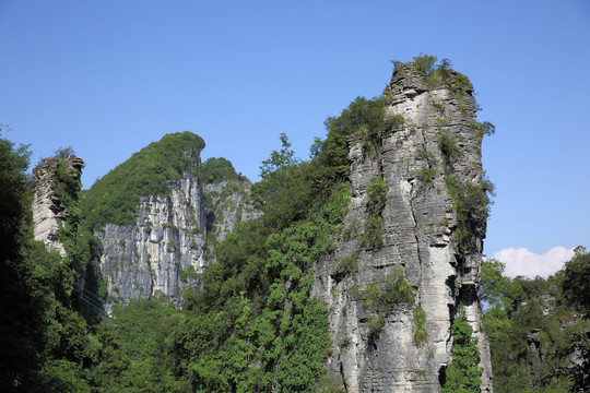 黄鹤峰林景区