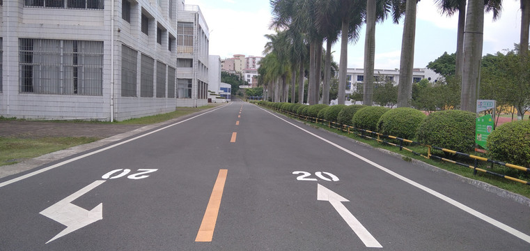 校园道路