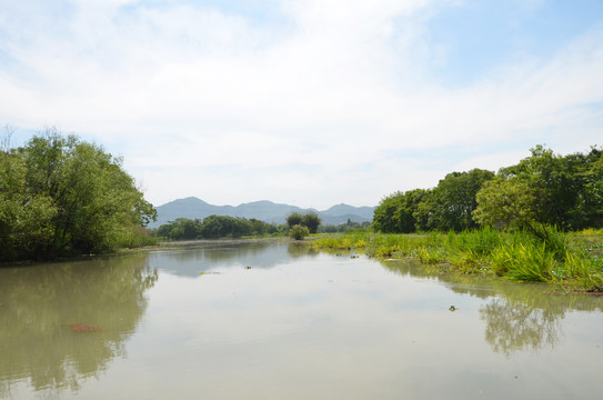 湖泊湿地景观