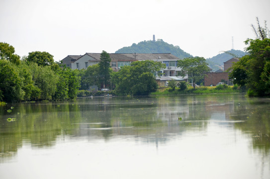台州鉴洋湖湿地