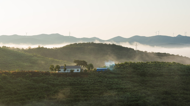 圣境山晨雾