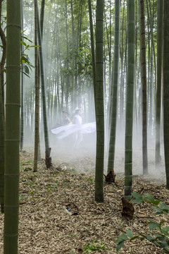 竹林晨雾美女翩翩起舞