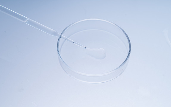 吸管的液体落在玻璃培养皿