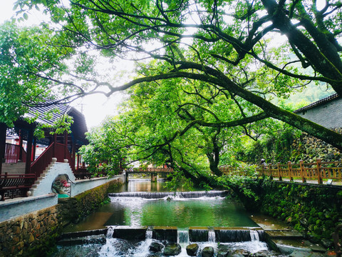 乡村美景