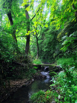 山水风光