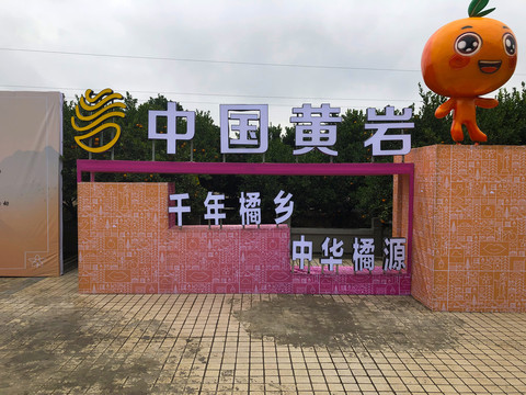 柑橘展览会