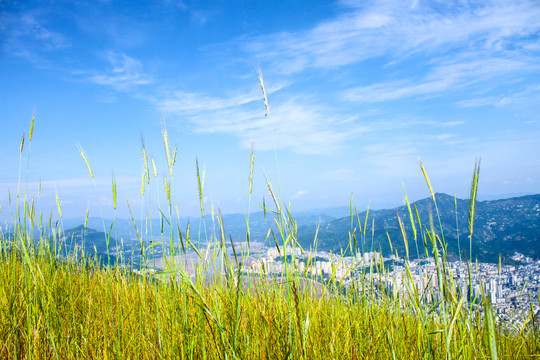 蓝天白云背景