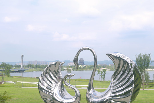 成都东安湖天鹅雕塑