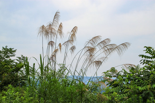 宁波四明山