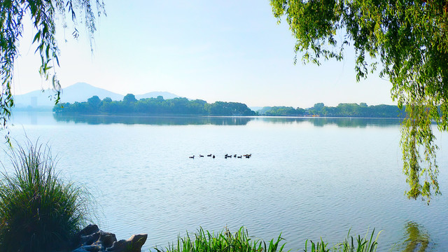 湖堤风光