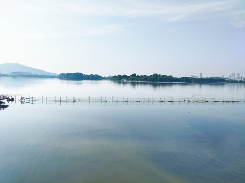 湖岸风光