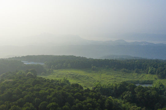 铁山坪森林公园