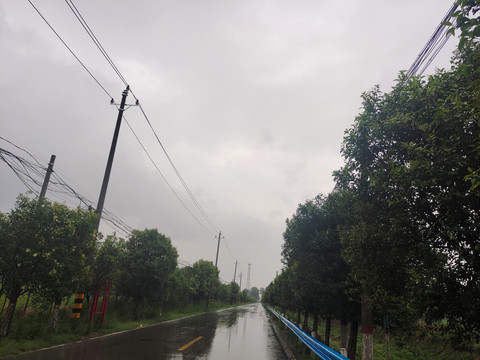 雨后风景