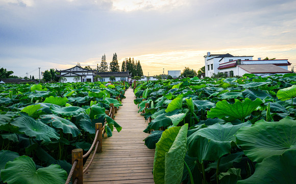 四川眉山市东坡区永丰村新貌