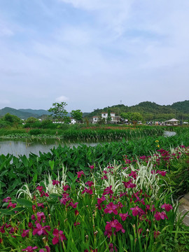 东钱湖美景