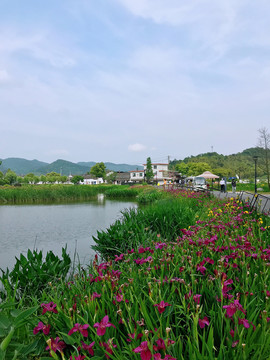 东钱湖美景