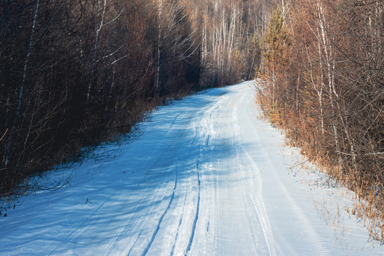 冬季树林积雪道路