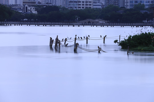 惠州西湖风景