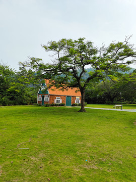小屋