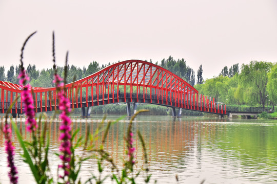 台湖公园桥