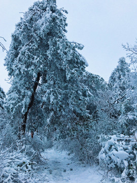 冰雪世界