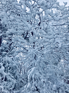 冰雪世界