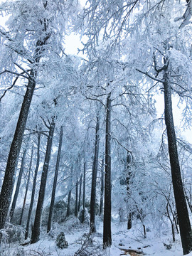 冰雪世界