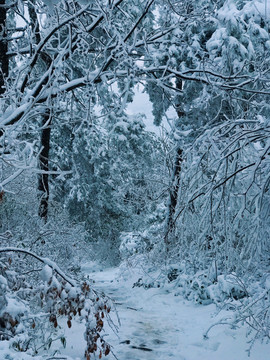 冰雪世界