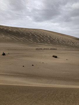 骆驼纵队上沙漠