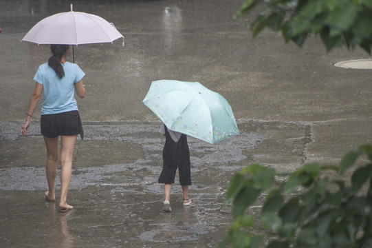 夏日求雨