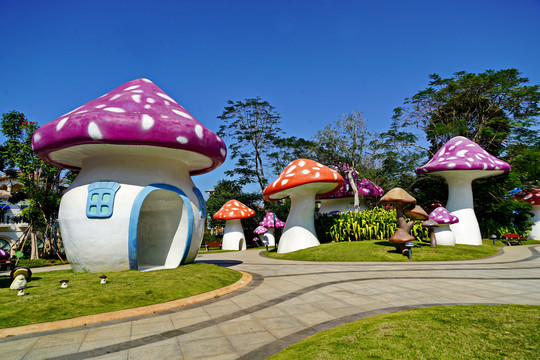 海花岛蘑菇乐园