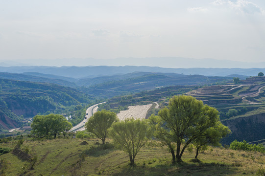 丘陵地貌