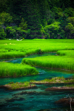 九寨沟