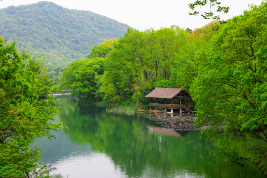 西湖春景