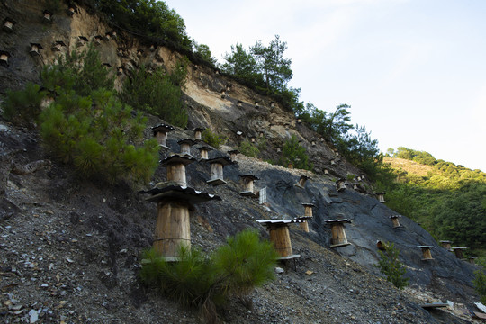 山区山崖野蜂土蜂养殖采蜜箱