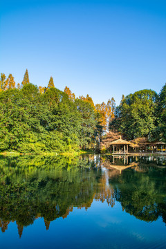 太子湾公园秋景