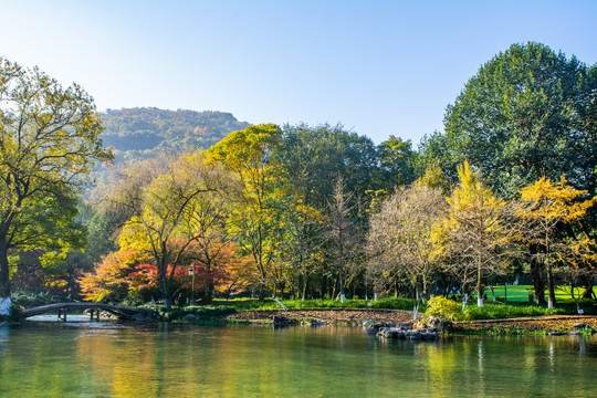 太子湾公园秋景