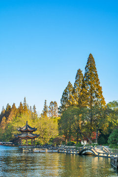 西湖秋景