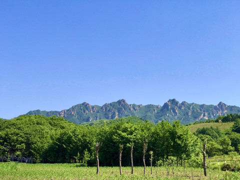 丹东夏季的五龙山