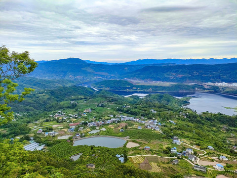 田园田野