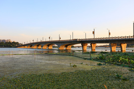 武汉南湖大桥